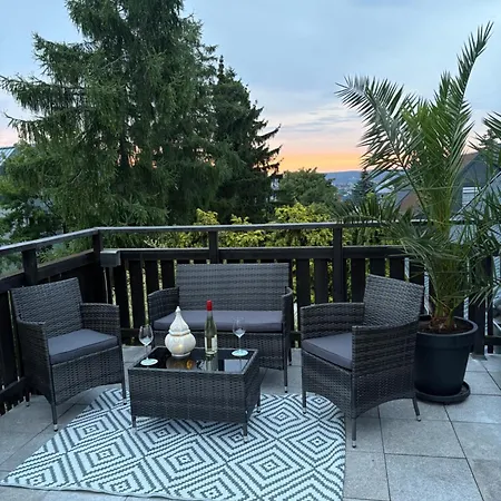 Mit Schloesserblick In I Grosse Dachterrasse I Parkplatz Kostenfrei * 드레스덴